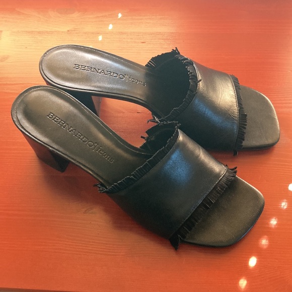 Bernardo Blane 1 Slides - Picture 2 of 7
